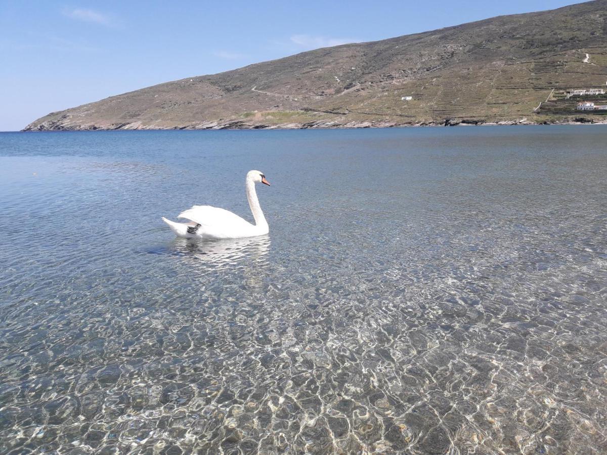 Liopi Village Andros Ormos  Dış mekan fotoğraf
